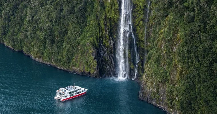 From Queenstown: Milford Sound Day Trip on Premium Coach